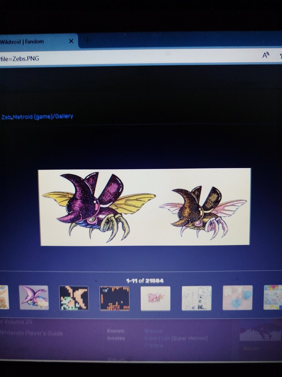 LutoAkino's tweet photo. Our project member  @Superstupidy will help me with the creation of the Mellow texture, so it's time to design the Zeb. 

#metroid #metroid64 #samusreturns #metroid2 #supermetroid #metroiddread #metroidfusion #otherm #n64 https://t.co/jaSnJJCIkH