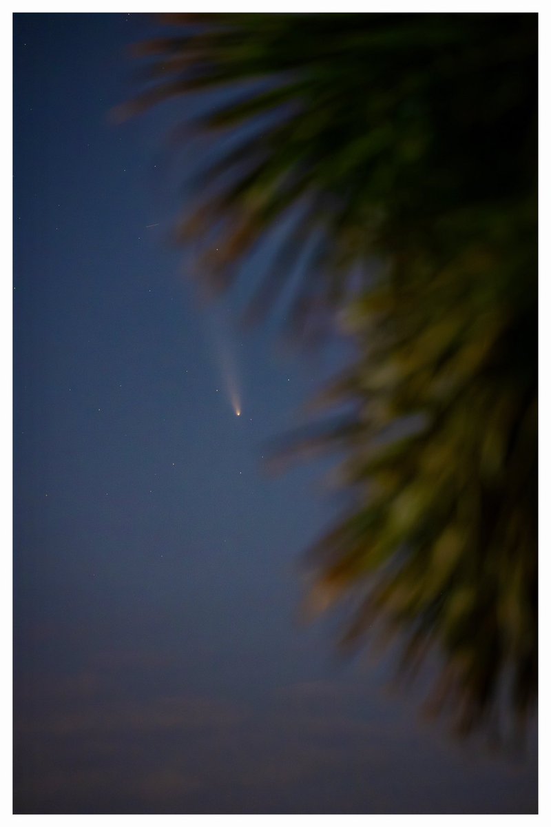 Comet Tsuchinshan-Atlas as seen from Shell Point on the Forgotten Coast here in North Florida last night! ☄️