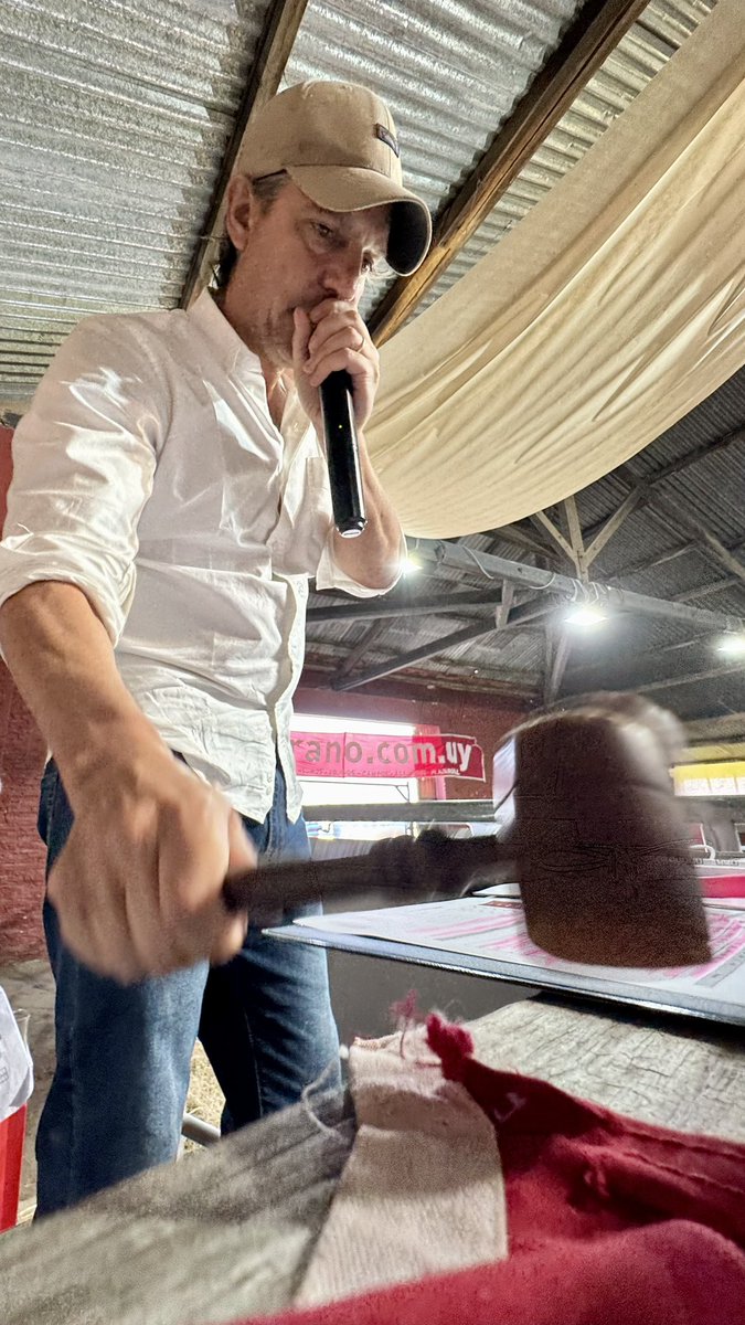 Don Jacinto Hereford tweet media