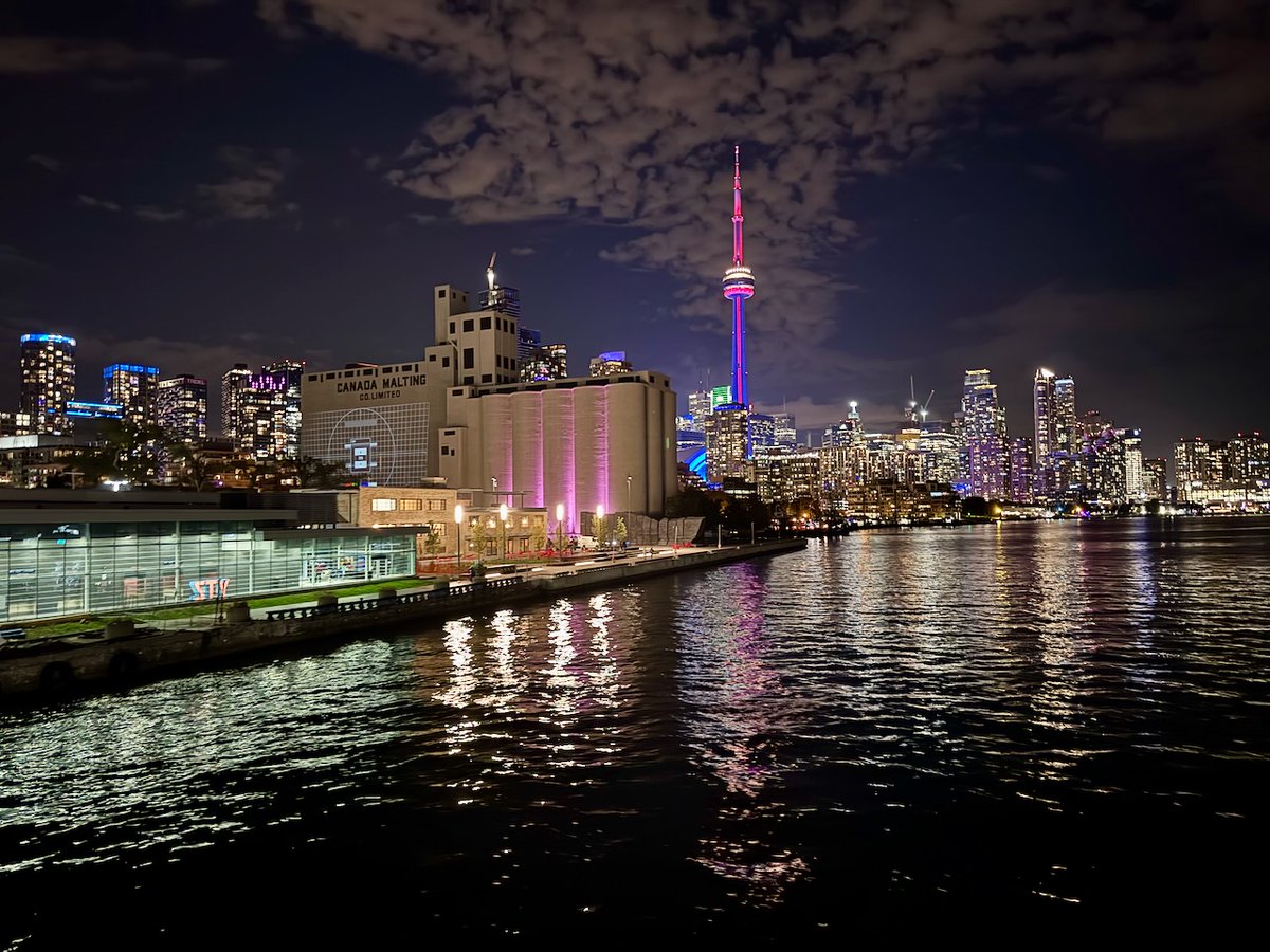 If you haven't been able to visit #Toronto's new waterfront park in person, browse the stunning space virtually on the #UTForum. urbantoronto.ca/forum/threads/…
