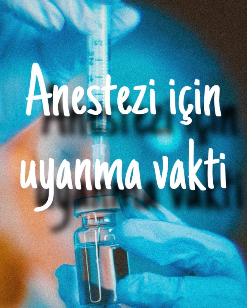 rabiakaba805's tweet photo. Maliye Bakanı Mehmet Şimşek’in bütçe desteği, anestezi teknikerlerinin atama sorunlarının çözümünde kilit
rol oynayacak.
@drmemisoglu
@memetsimsek
#DünyaAnesteziGünü https://t.co/VBGmqzAiim