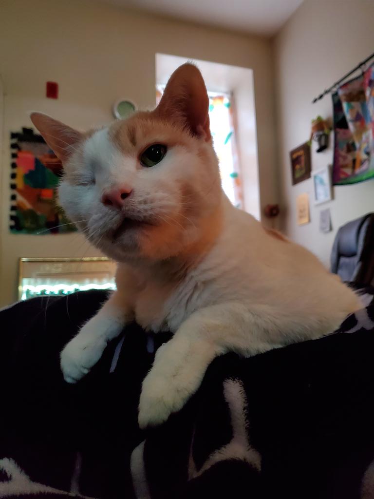 morgueline tweet media