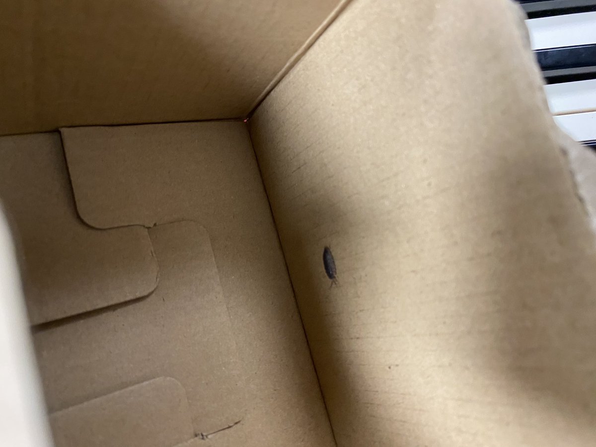 What a kind superstar here <a href="/Tockwithcofe/">Tockwith CE Primary Academy</a> !! #mrcsmusiclessons #ecowarrior