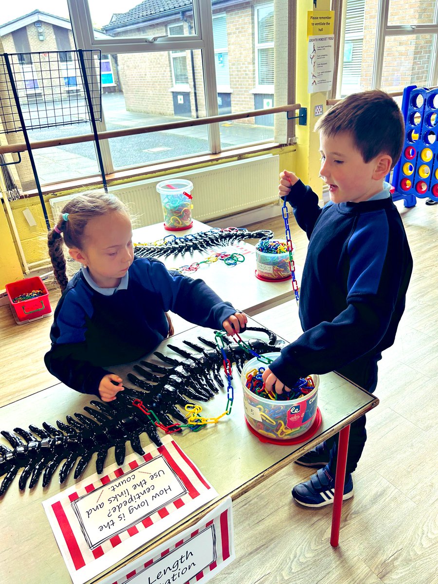 Aoife Hardiman tweet media