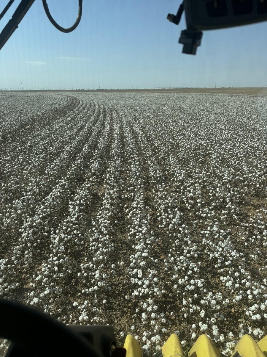 Plot day on Blake Fennell Farms!   Let’s hope these newbies can compete with FM1621!   <a href="/BASF/">BASF</a> <a href="/BASFCorporation/">BASF North America</a>  #Fibermax