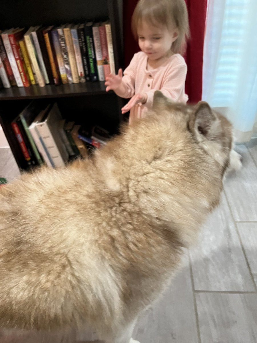FatCatstard's tweet photo. @wfaaweather My sister is happy https://t.co/AFYiG8LXaB
