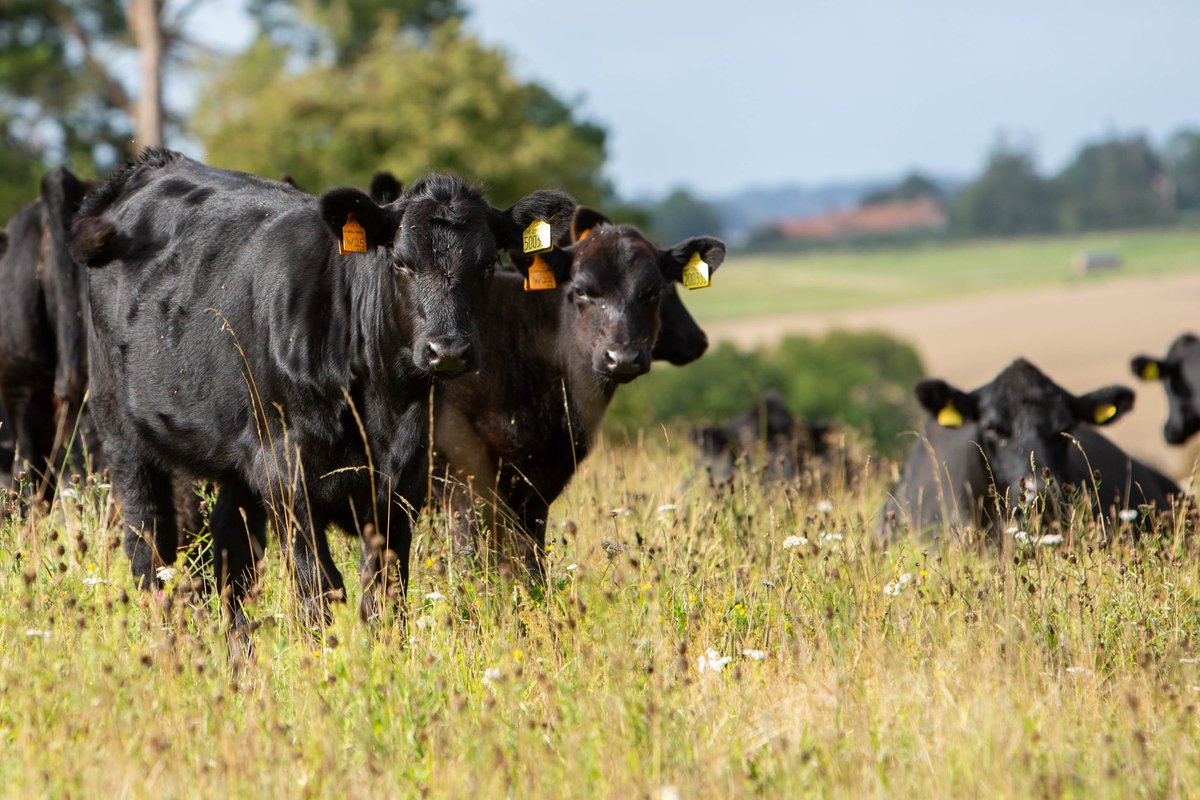 Great new opening here on the estate- General Farm worker. Please share