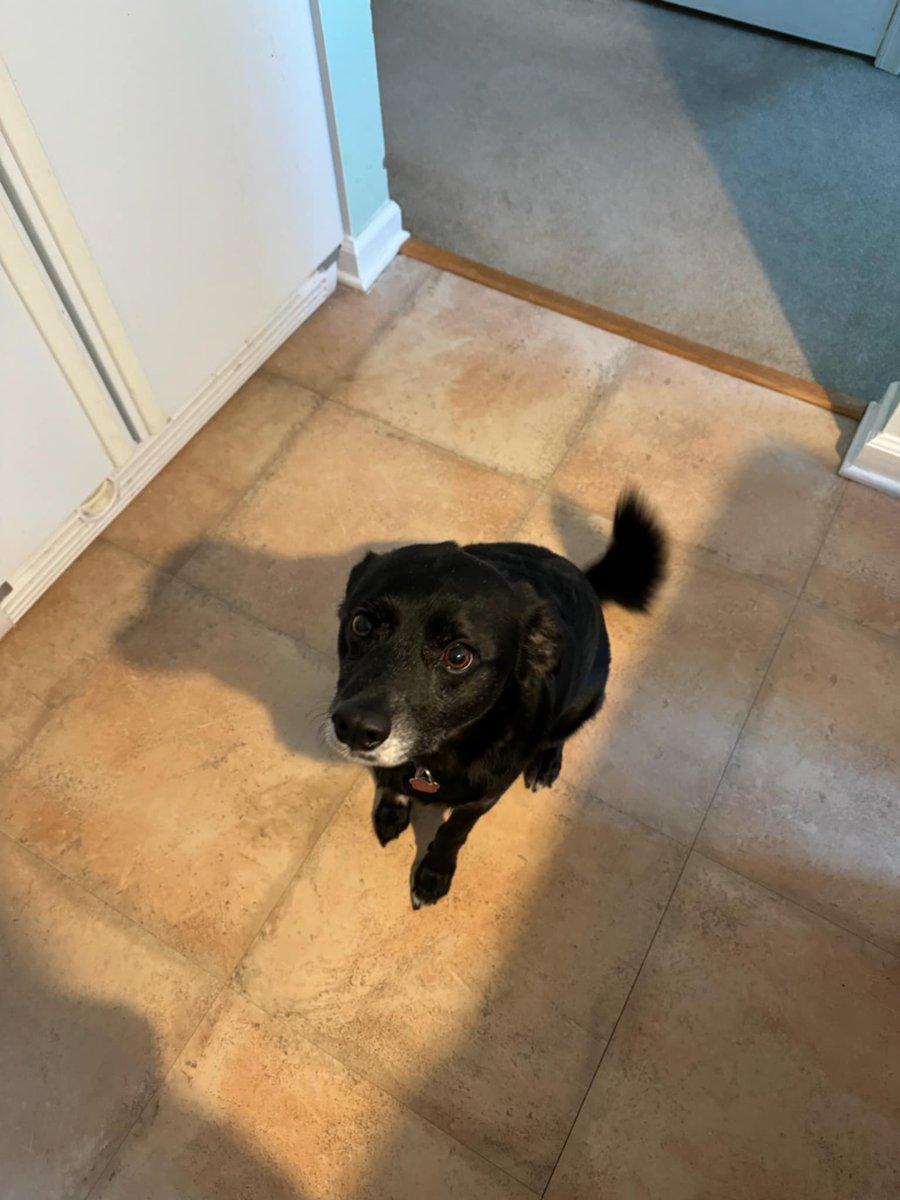 OptionsMike's tweet photo. Dad your going to share.. right?
#LIFEOFDUKE https://t.co/hroZNorIRP