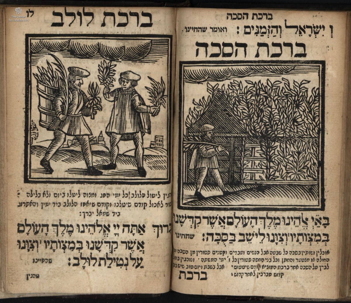 This Sukkot may we all merit to botanical devotion. [Woodcuts from Sefer Minhagim, Amsterdam, 1708]