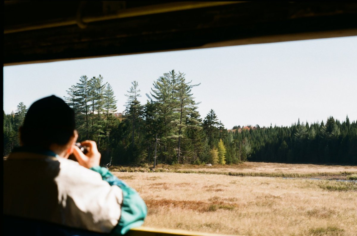 Beth Larter tweet media