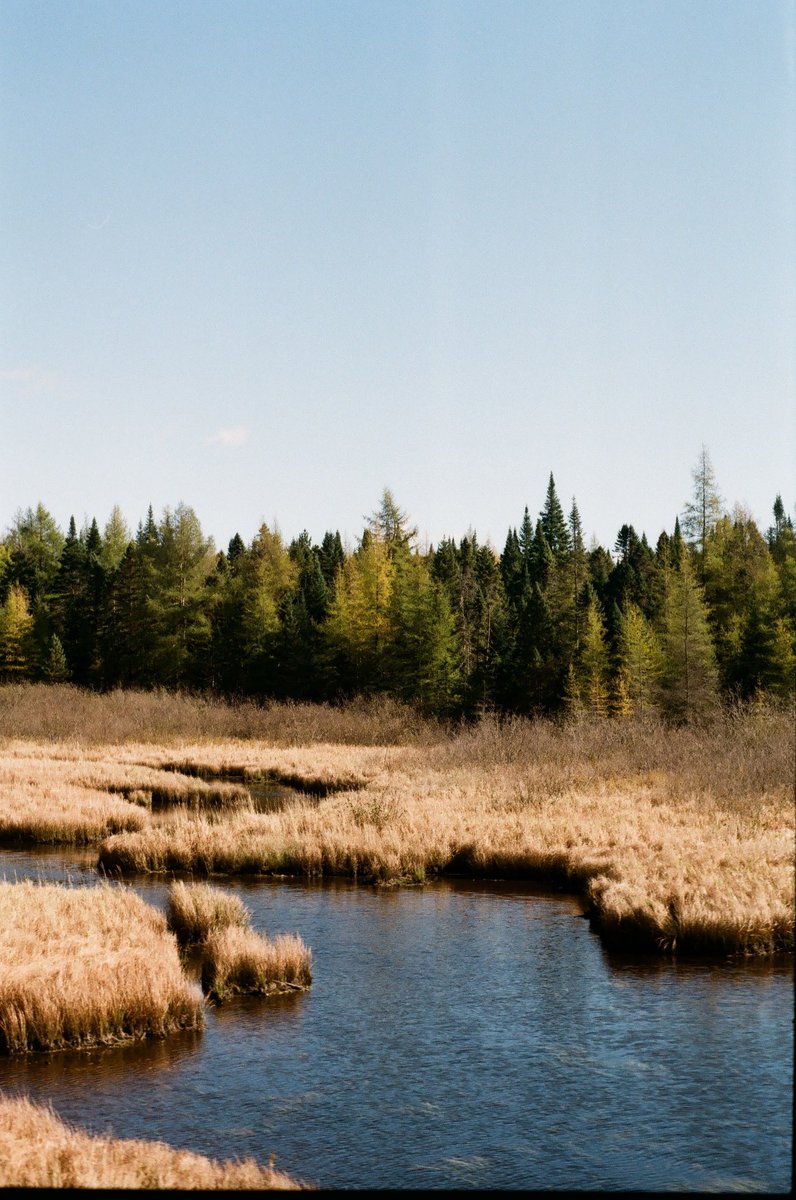 Beth Larter tweet media