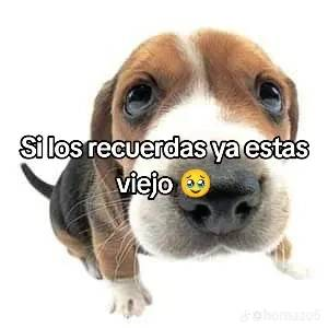 EmmanuelEnMix's tweet photo. ¿ALGUIEN LOS RECUERDA? HACE 20 AÑOS MUCHOS COMPRÁBAMOS LOS FAMOSOS @VualaMexico  POR TENER UNOS DE ESTOS #FLASHBACK EN @MixMxOficial #Puebla https://t.co/47242r7n5V