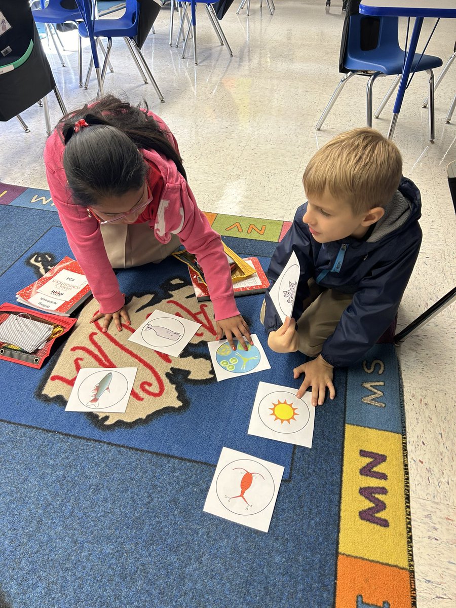 Mrs. Van Sickle (@svansickle12) on Twitter photo We discovered that the ocean food chain starts with the sun!βοΈ<a href="/rbpsEAGLES/">Red Bank Primary</a> <a href="/Laura_Butler12/">Laura Butler</a> #RBBisBIA We discovered that the ocean food chain starts with the sun!βοΈ<a href="/rbpsEAGLES/">Red Bank Primary</a> <a href="/Laura_Butler12/">Laura Butler</a> #RBBisBIA