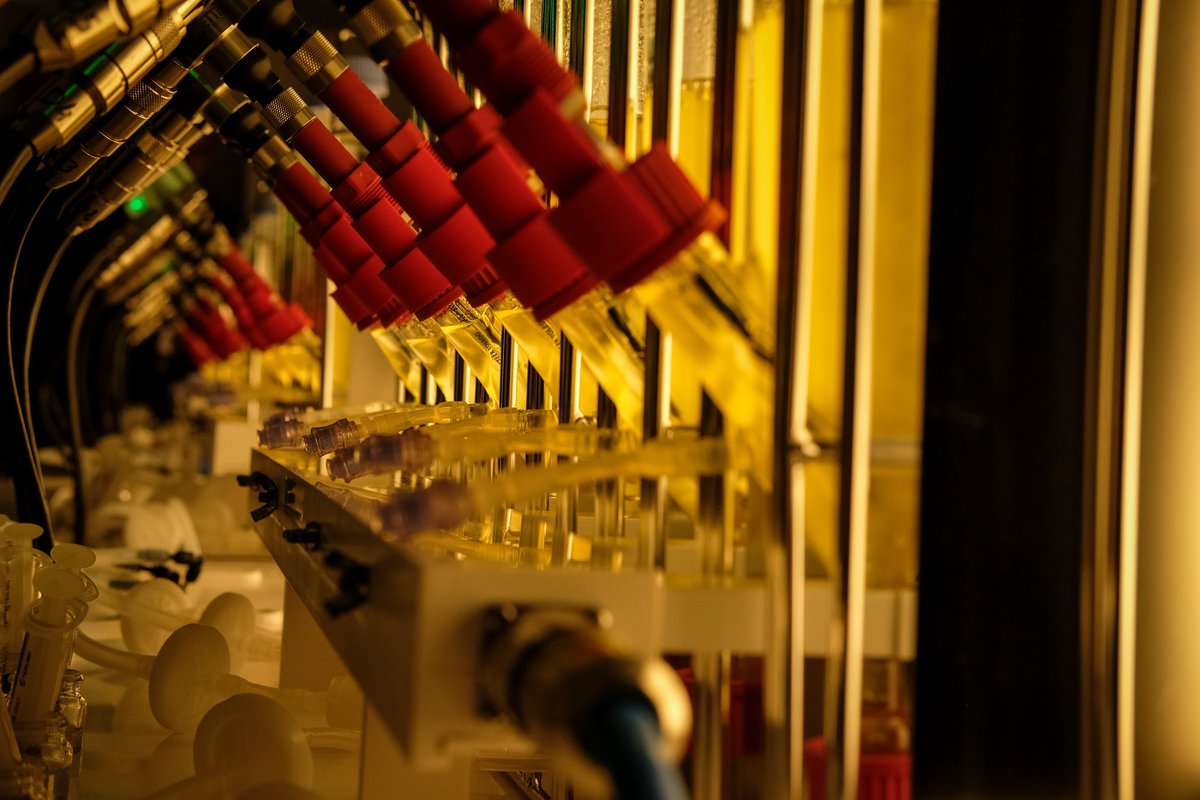 Aucun pays ne possède une culture de la mer, du large, de l’océan aussi profonde et enracinée que la France ! Une partie de notre destin et de notre avenir se joue en mer. Et dans un monde qui se tourne plus que jamais vers le large, c’est une force considérable - une force que