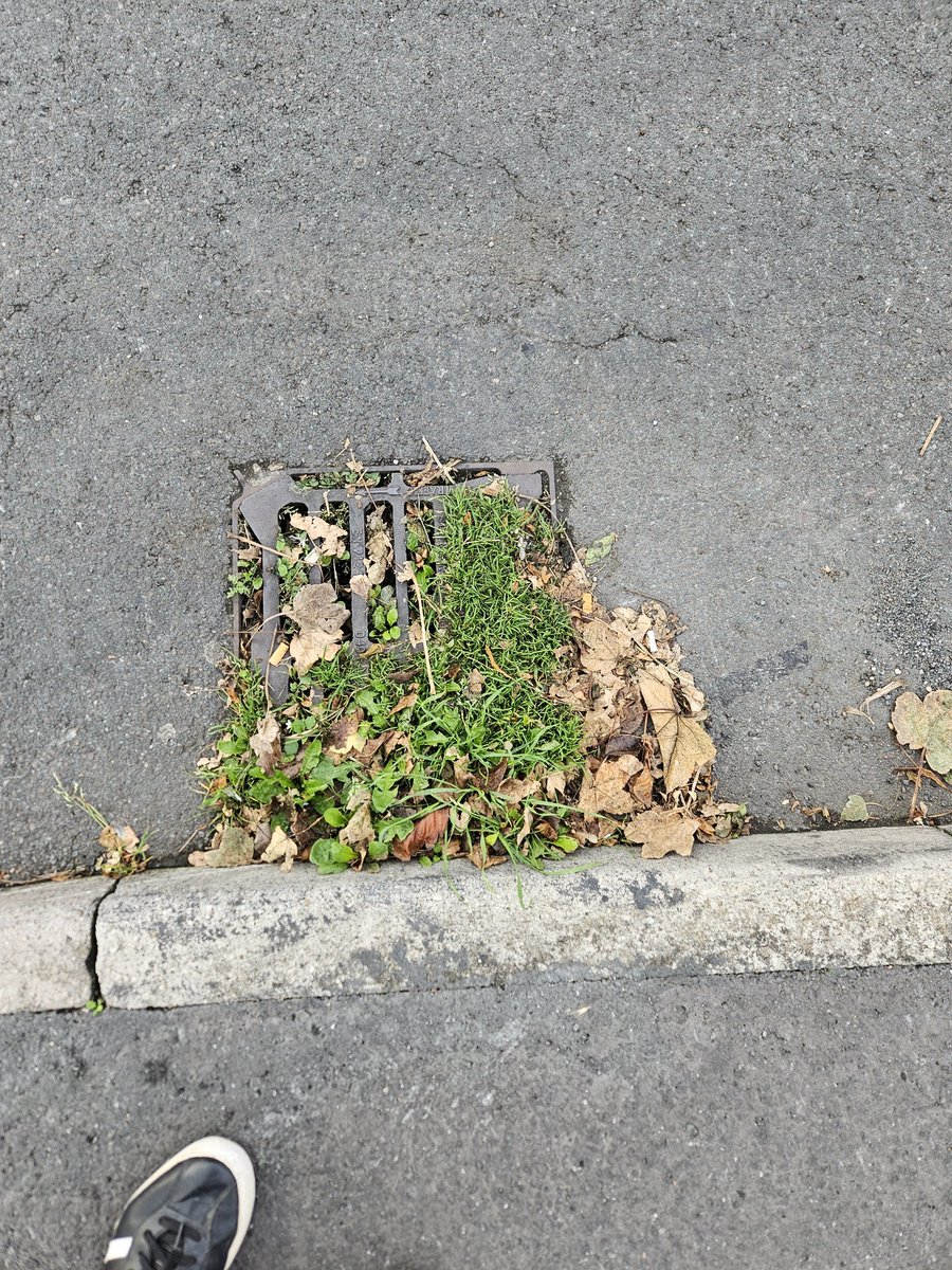 LiversidgePaul's tweet photo. @juneslater17 Wakefield council reported it in February still waiting to be cleared https://t.co/HtD7X6EFpH