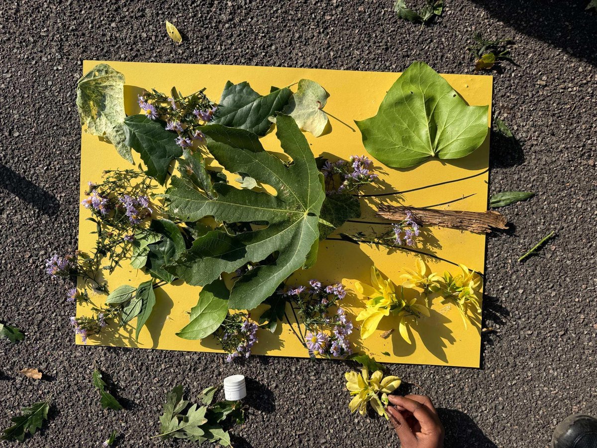 Christ Church Primary tweet media