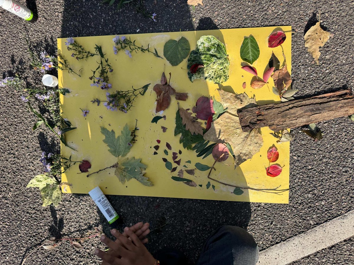 Christ Church Primary tweet media