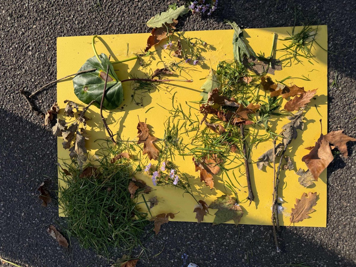 Christ Church Primary tweet media