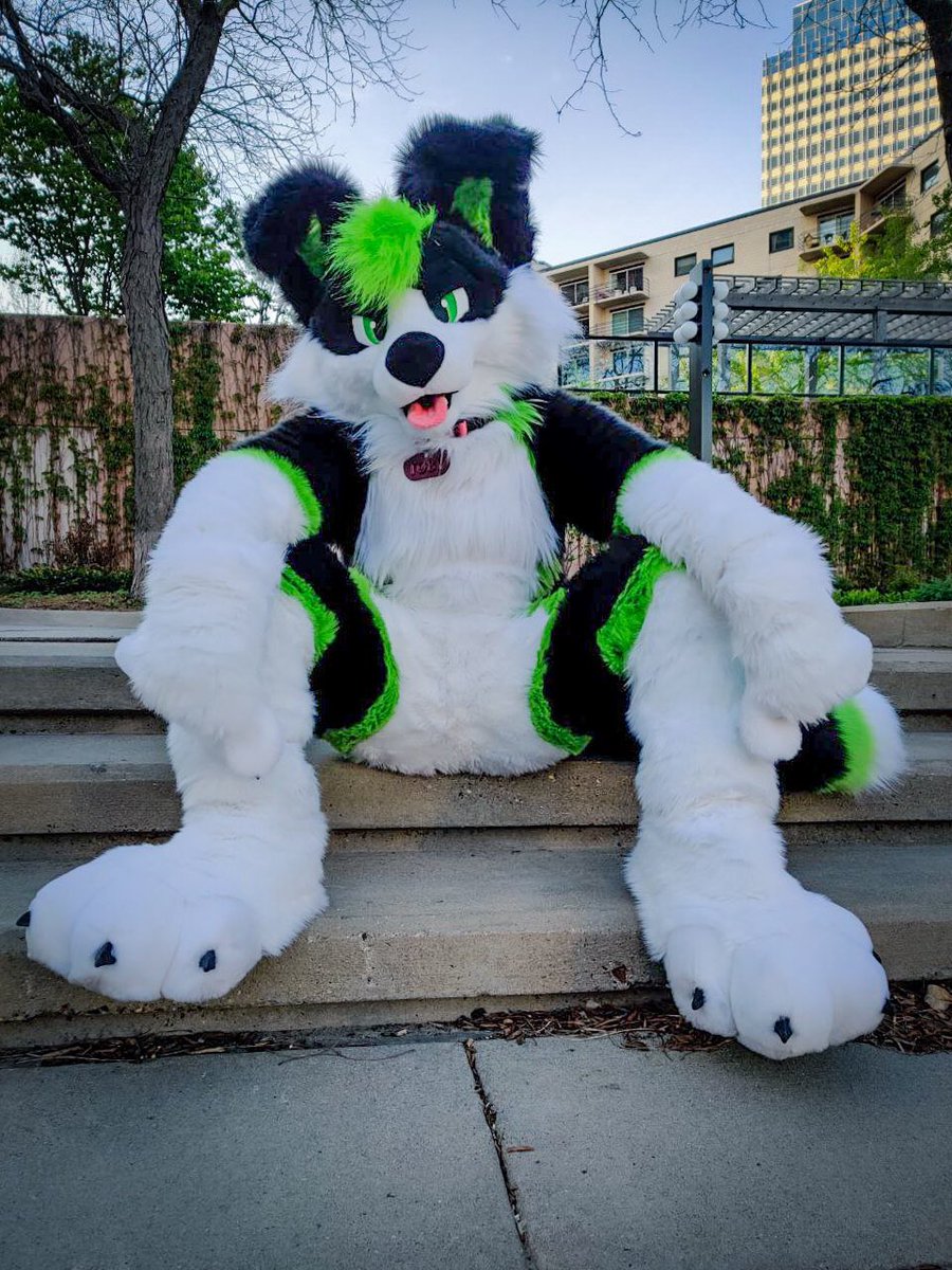 ThatOneCollie's tweet photo. Green eyed fursuits~ 💚 https://t.co/SurS18NaNE