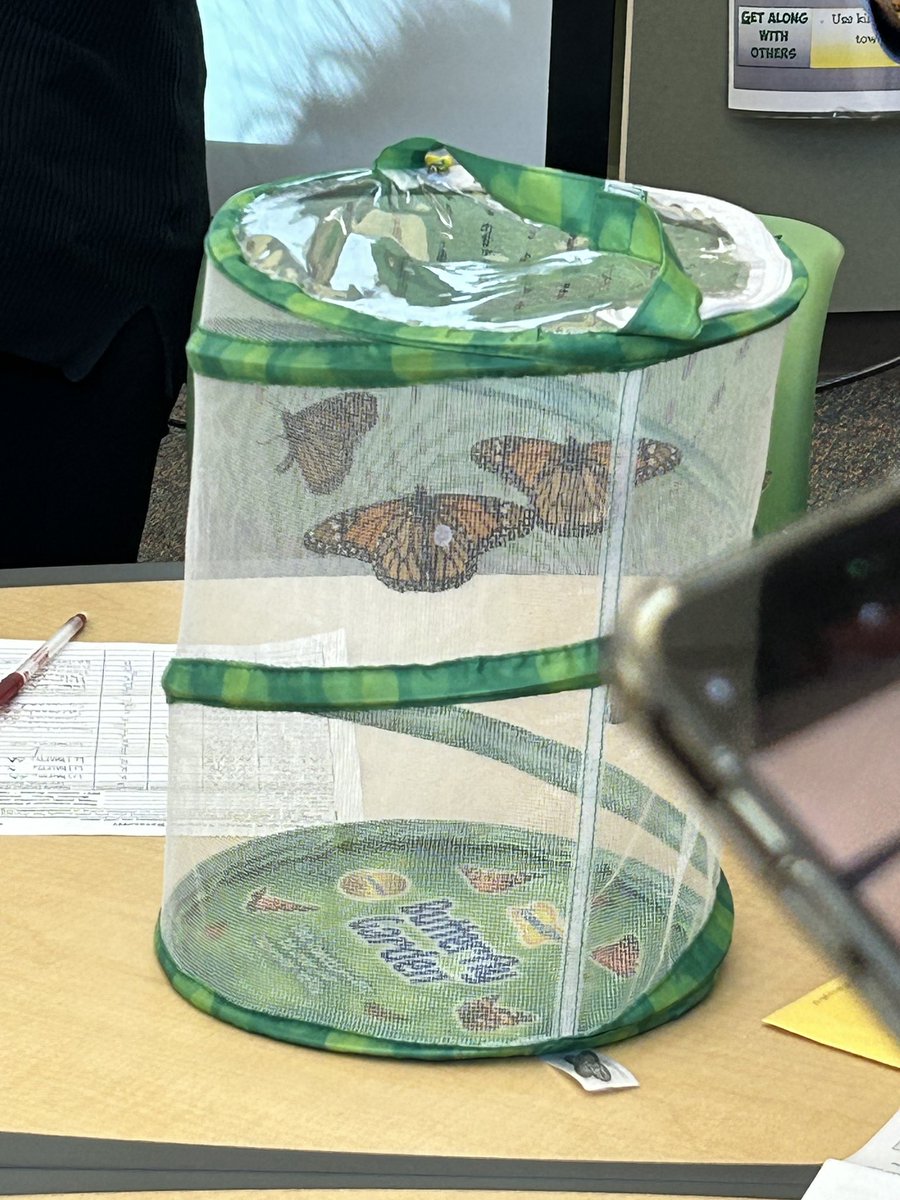 Ms. Quanda Foster (@fostertheteach) on Twitter photo Thank you <a href="/STEMSLC/">Nicole Ford</a> for providing us with today’s awesome Monarchs in Motion experience! So many great take aways!!! <a href="/SackellaresSTEM/">Alexandra Sackellares</a> <a href="/shavanda_toomer/">Shavanda Toomer</a> <a href="/mrsuremovich/">Tara Uremovich</a> <a href="/DeShuntaAdams/">MsAdams</a> Thank you <a href="/STEMSLC/">Nicole Ford</a> for providing us with today’s awesome Monarchs in Motion experience! So many great take aways!!! <a href="/SackellaresSTEM/">Alexandra Sackellares</a> <a href="/shavanda_toomer/">Shavanda Toomer</a> <a href="/mrsuremovich/">Tara Uremovich</a> <a href="/DeShuntaAdams/">MsAdams</a>