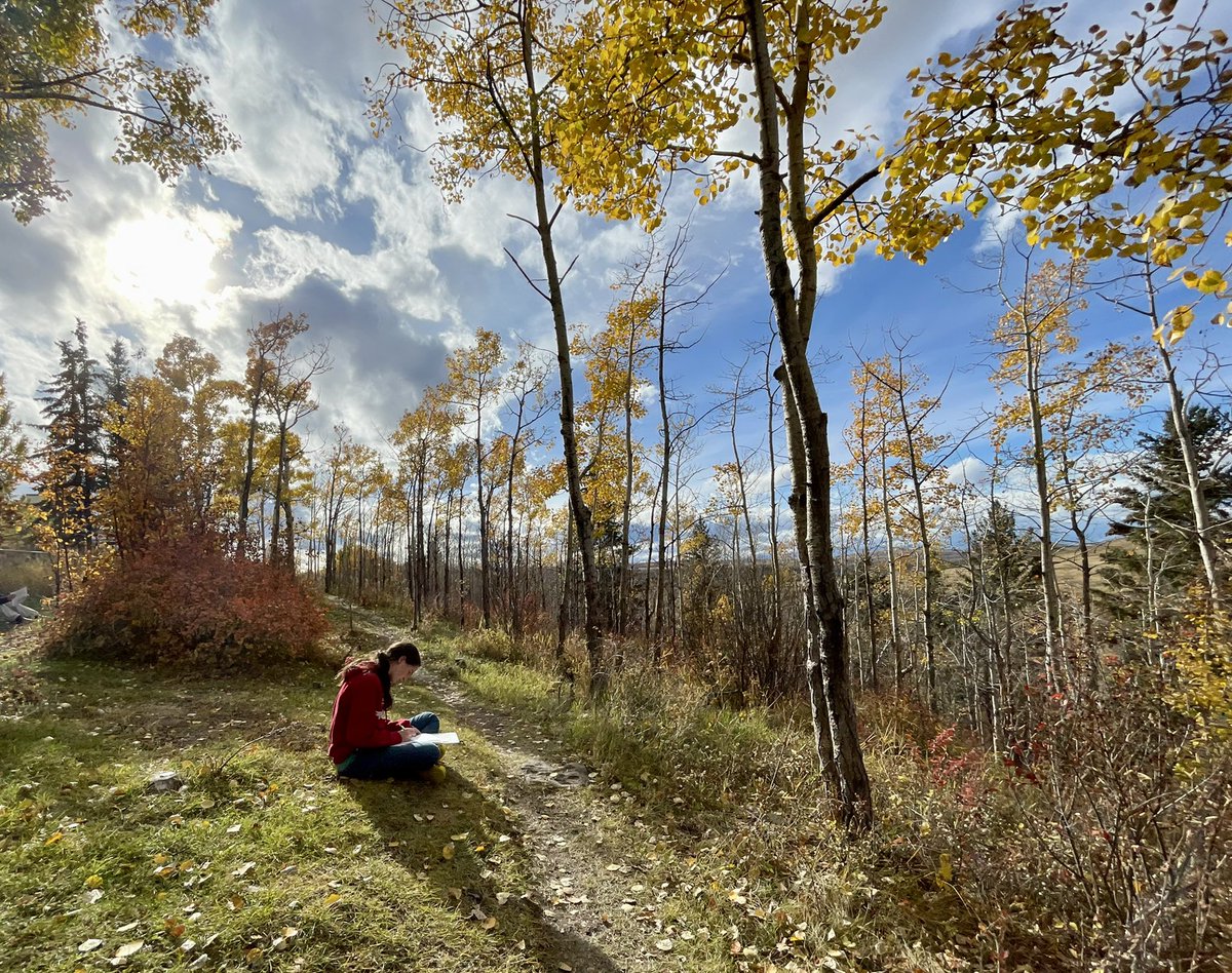 Jander Talen tweet media