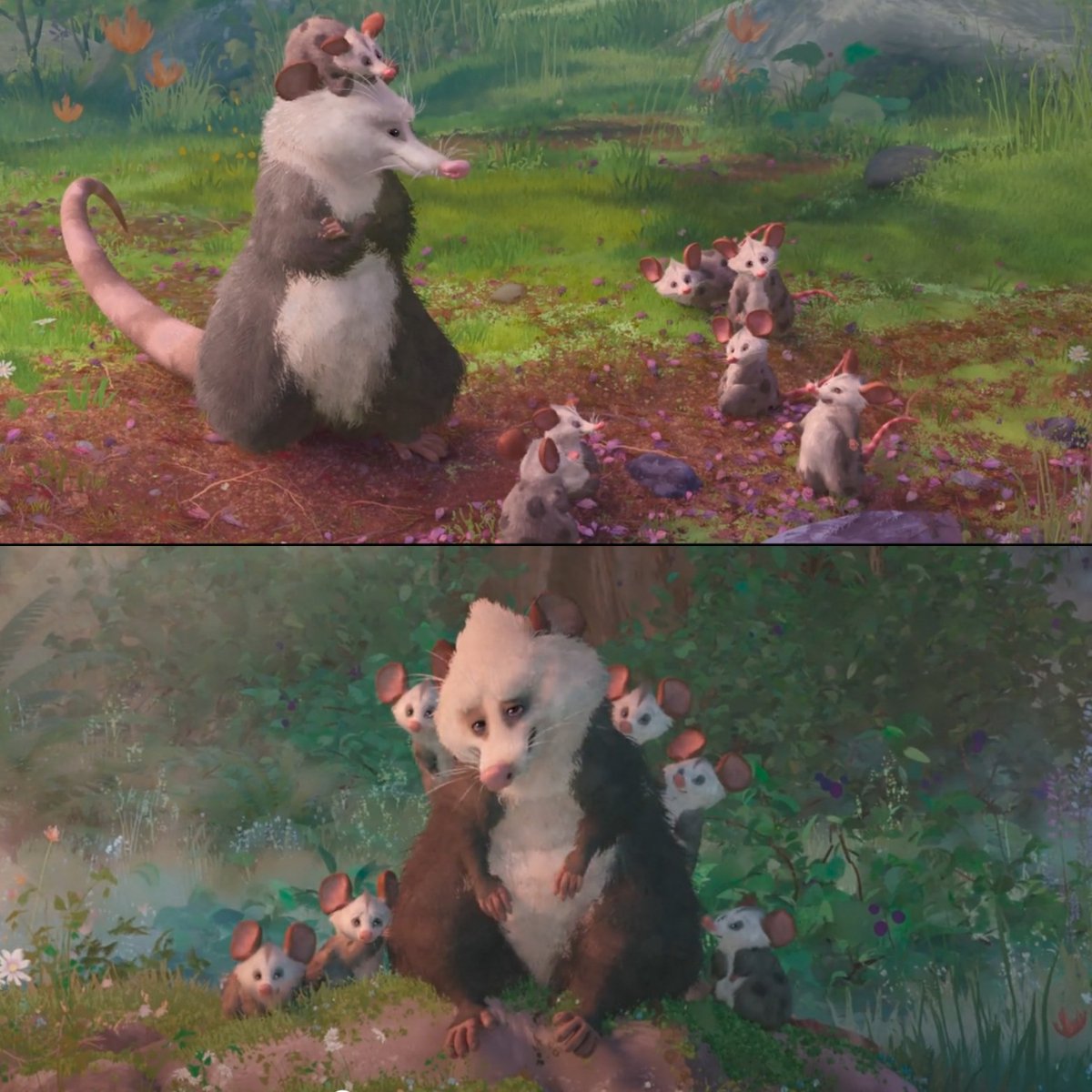 Campanario's tweet photo. In #TheWildRobot the first time we see #Pinktail, she has 7 babies... Later if you do the math, there's only six left. Details from the movie and book by @itspeterbrown that's the circle of life! #TheWildRobotMovie https://t.co/lJl2y8aRgp