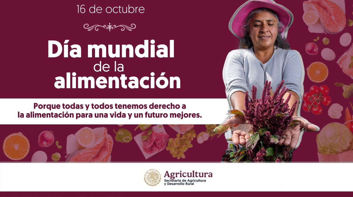 #Efeméride | En el Día Mundial de la Alimentación, recordamos que cada plato en nuestra mesa es gracias al trabajo de miles de personas en el campo y las costas. 🌾🌊 

¡Juntos y juntas, construimos un futuro alimentario sostenible y soberano!

#DíaMundialDeLaAlimentación