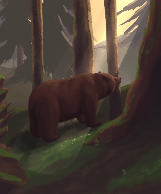 bear butt