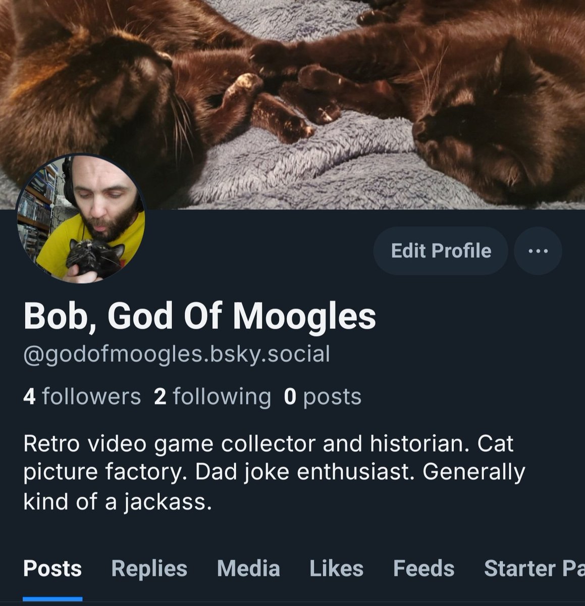 GodOfMoogles's tweet image. What a beautiful day out. Fall colors, fuck Elon, gentle breeze, Sky is a nice Blue color. Follow me on a nice nature walk where manchildren dont play.