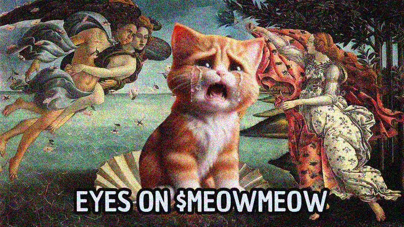 MeowMeowCTO's tweet photo. Gmeow https://t.co/Lu1km40H4q