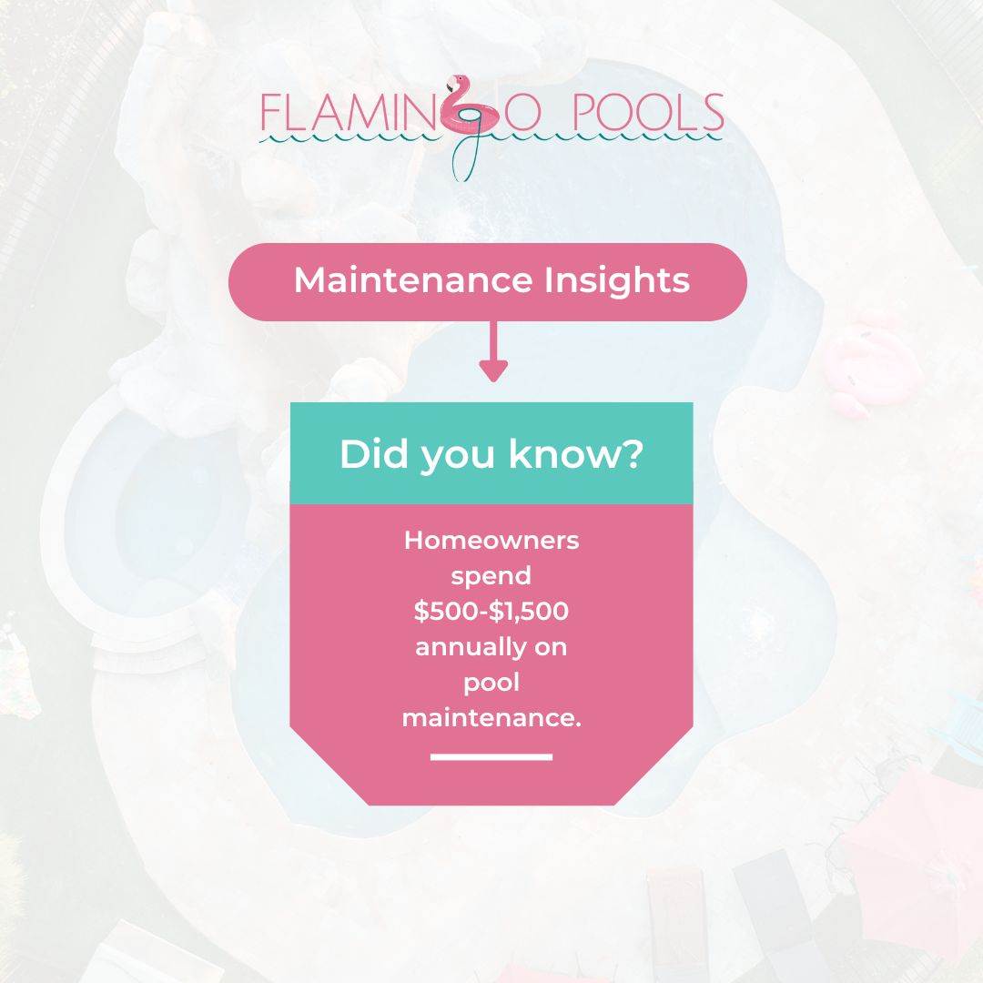 azflamingopools's tweet image. Are you spending $500-$1,500 a year on pool maintenance? Let Flamingo Pools take the hassle out of upkeep! Sign up for our maintenance package and enjoy a sparkling pool without breaking the bank!
#FlamingoPools #PoolMaintenance #SparklingPool #PoolCare #MaintenanceMadeEasy