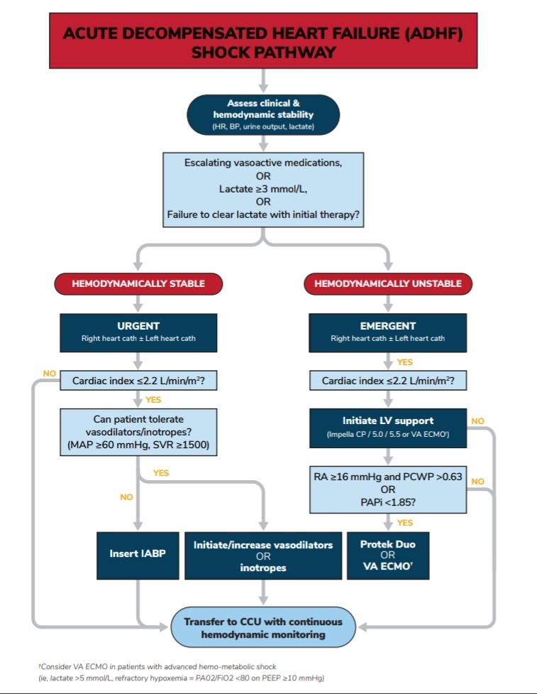 Leah Kosyakovsky (@leahkosyakovsky) on Twitter photo The new <a href="/SCAI/">SCAI</a> MCS EBook is here (download below!)
I had a great time bringing together ths best of both interventional and critical care (<a href="/JAMarbach/">Jeffrey Marbach</a> <a href="/NavinKapur4/">Navin Kapur</a> <a href="/ChweichHaval/">Haval</a>) to write about device selection in cardiogenic shock.
scaipro.scai.org/URL/MCS-EBook The new <a href="/SCAI/">SCAI</a> MCS EBook is here (download below!)
I had a great time bringing together ths best of both interventional and critical care (<a href="/JAMarbach/">Jeffrey Marbach</a> <a href="/NavinKapur4/">Navin Kapur</a> <a href="/ChweichHaval/">Haval</a>) to write about device selection in cardiogenic shock.
scaipro.scai.org/URL/MCS-EBook