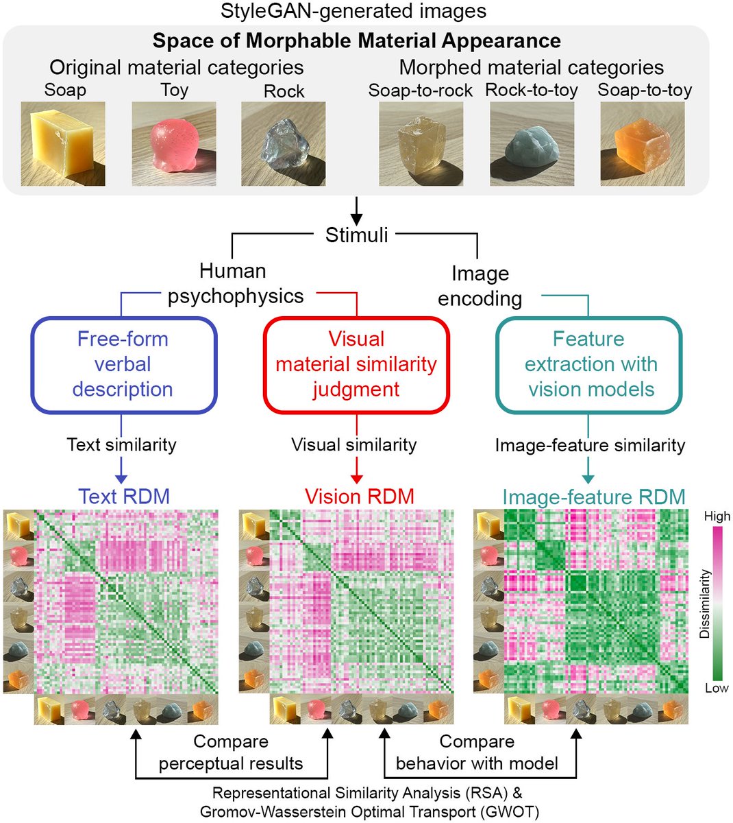 Bei Xiao (@xiaomateriallab) on Twitter photo How is vision and language related in human material perception? New paper from my lab is now out at
<a href="/PLOSCompBiol/">PLOS Comp Biol</a>. We find verbal descriptions capture material appearance at a coarse level, but precise alignment is still lacking. <a href="/liao_oial/">Chenxi Liao</a> <a href="/mswym8/">Masataka Sawayama(澤山 正貴)</a>
journals.plos.org/ploscompbiol/a… How is vision and language related in human material perception? New paper from my lab is now out at
<a href="/PLOSCompBiol/">PLOS Comp Biol</a>. We find verbal descriptions capture material appearance at a coarse level, but precise alignment is still lacking. <a href="/liao_oial/">Chenxi Liao</a> <a href="/mswym8/">Masataka Sawayama(澤山 正貴)</a>
journals.plos.org/ploscompbiol/a…
