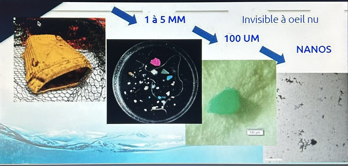 Expédition 7ème Continent
Nous serons présents pour faire entendre notre voix à la 3 ème Conférence des Nations – Unies sur l’Océan à Nice en Juin.
C’est parce que nous n'avons qu'un seul Océan et qu’il est essentiel à la vie.