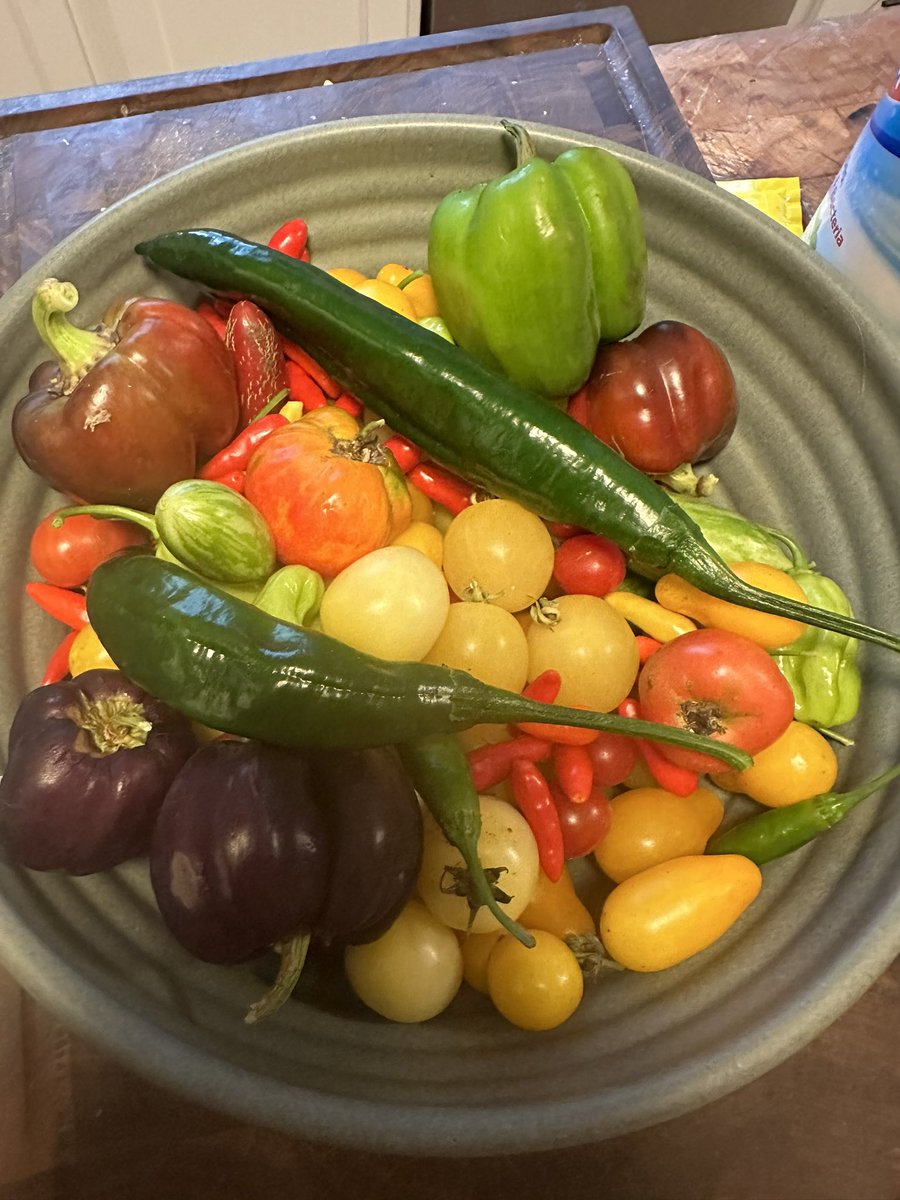 Crobb88's tweet image. Last harvest this year. I guess it’s fitting with the harvest super moon tonight! #homegrown #frosting