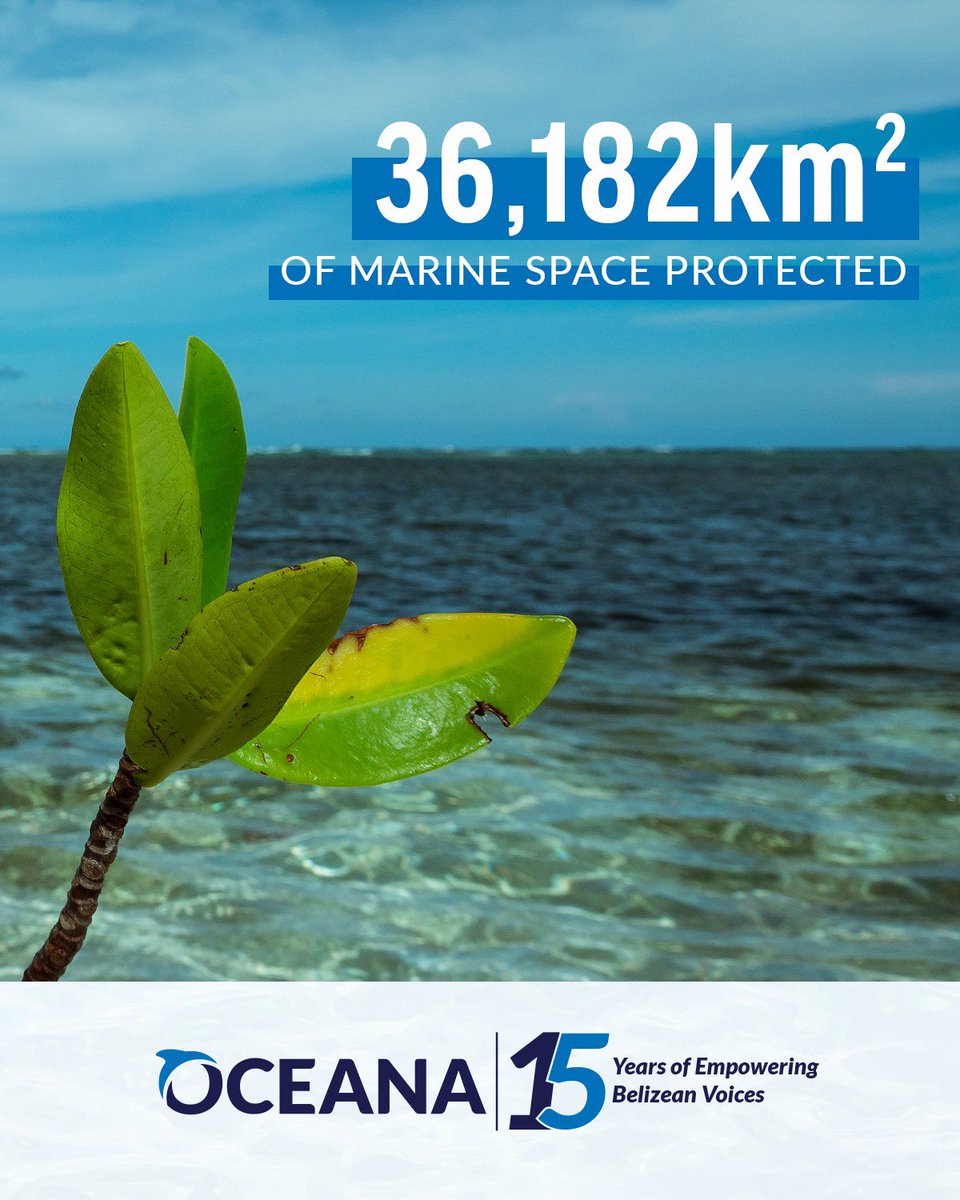 OceanaBelize's tweet photo. Protecting #Belize's marine resources safeguards both environment & livelihoods. Over the years, #Oceana, its allies & dedicated #Belizeans have worked to protect Belize’s marine resources from pollution, overfishing & offshore oil. #OceanaBelize15 #OceanaBelize https://t.co/QY50UqtnWg