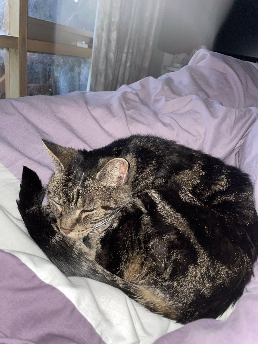 RatBoyLeaky tweet media