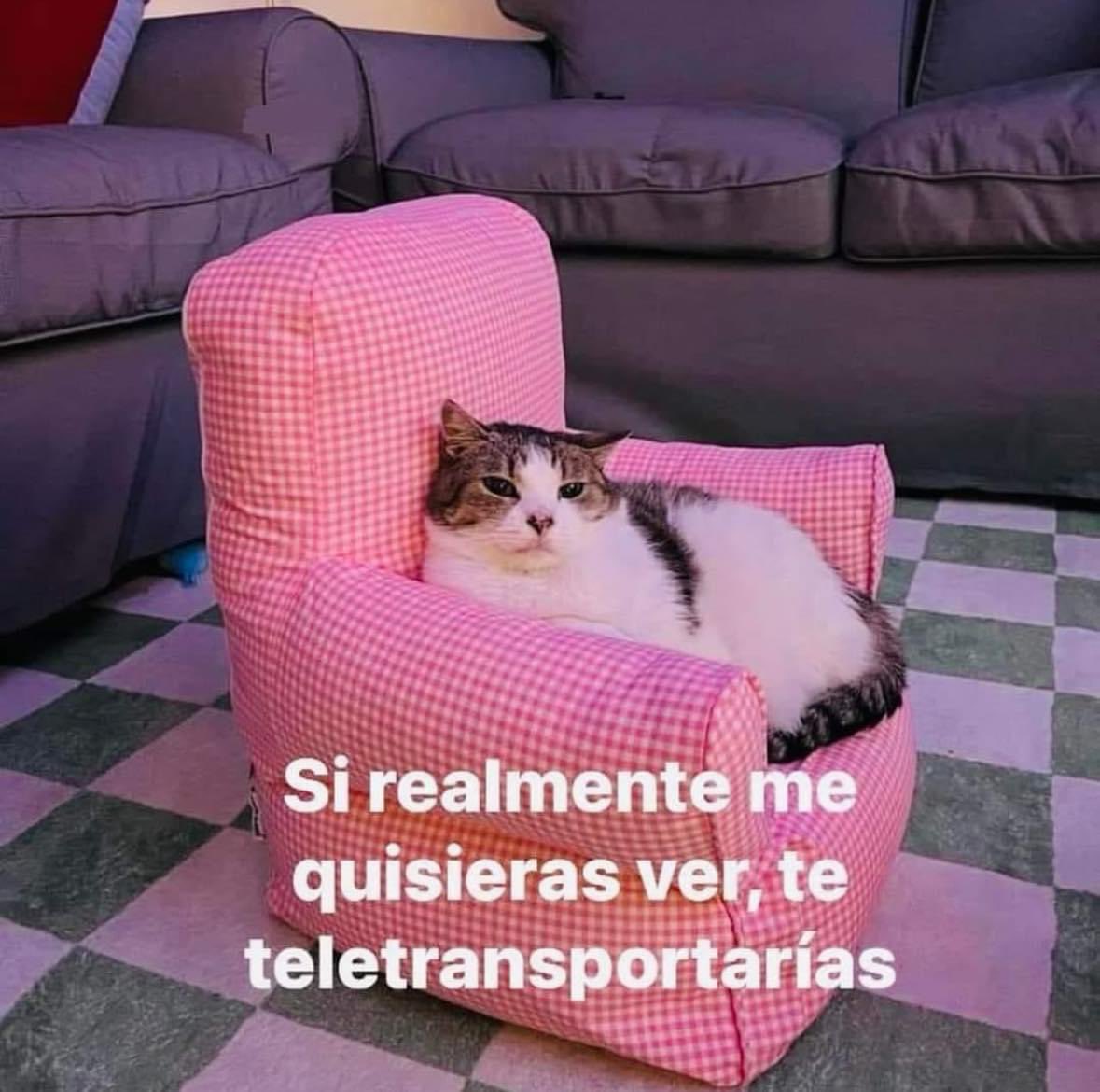 AY  B Á R B A R A tweet media