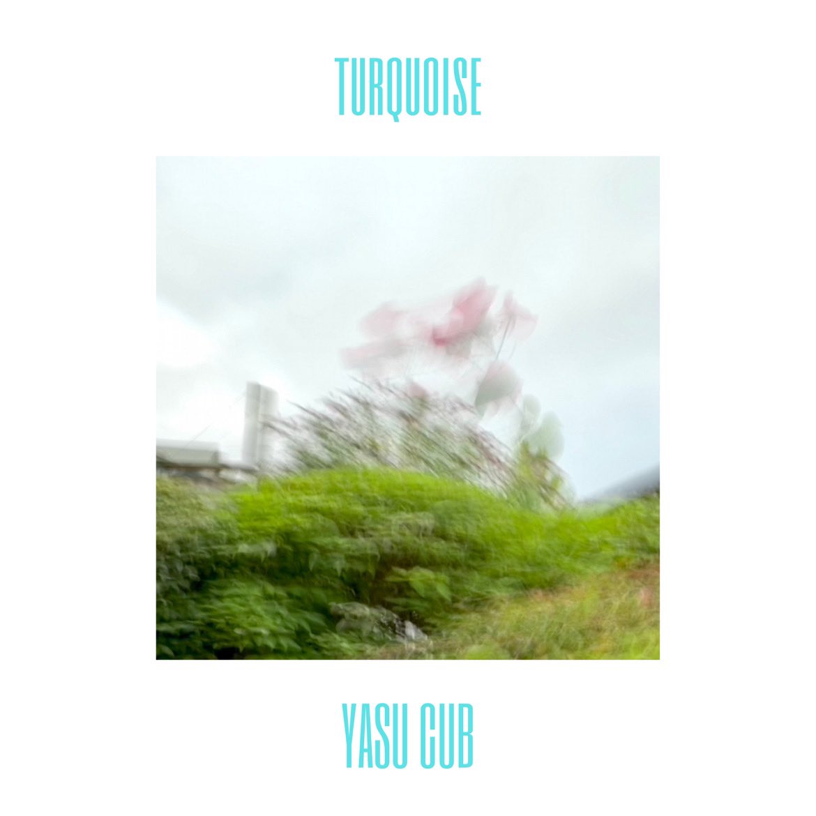 candlepinrecs's tweet photo. Yasu Cub’s “Turqoise” is now live and available for streaming! This Tokyo-based band delivers a shoegaze, dreamy pop single ahead of their EP ‘room without a ceiling’. 

BANDCAMP: https://t.co/Sj4PJCNQ1I 
SPOTIFY: https://t.co/FXTfqkjItX https://t.co/O2Tcu5HaNK