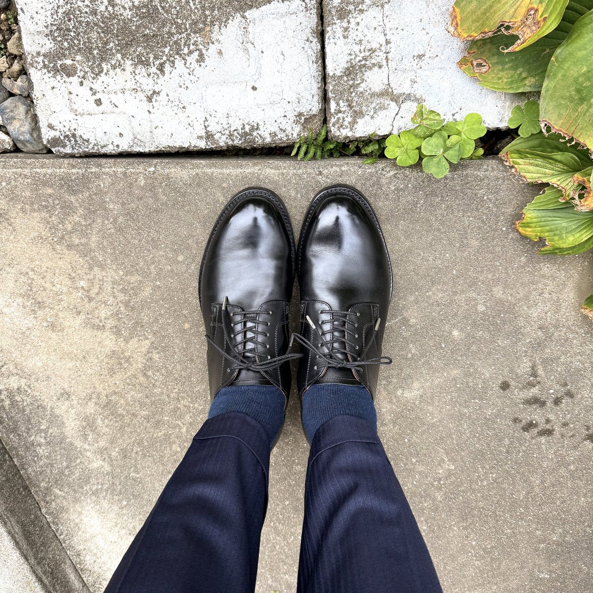 sthkzn's tweet image. Brother Bridge
Foremost with kutsu-en
STAYGOLD WWII

曇ってるけど雨にはならないか。
明日が雨予報になり、土曜日は最高気温29℃予報。
もう10月下旬になろうとしてるのにね。

#brotherbridge #foremost #kutsuen #staygold #staygoldwwii #shoes #mensshoes #ブラザーブリッジ #フォアモスト