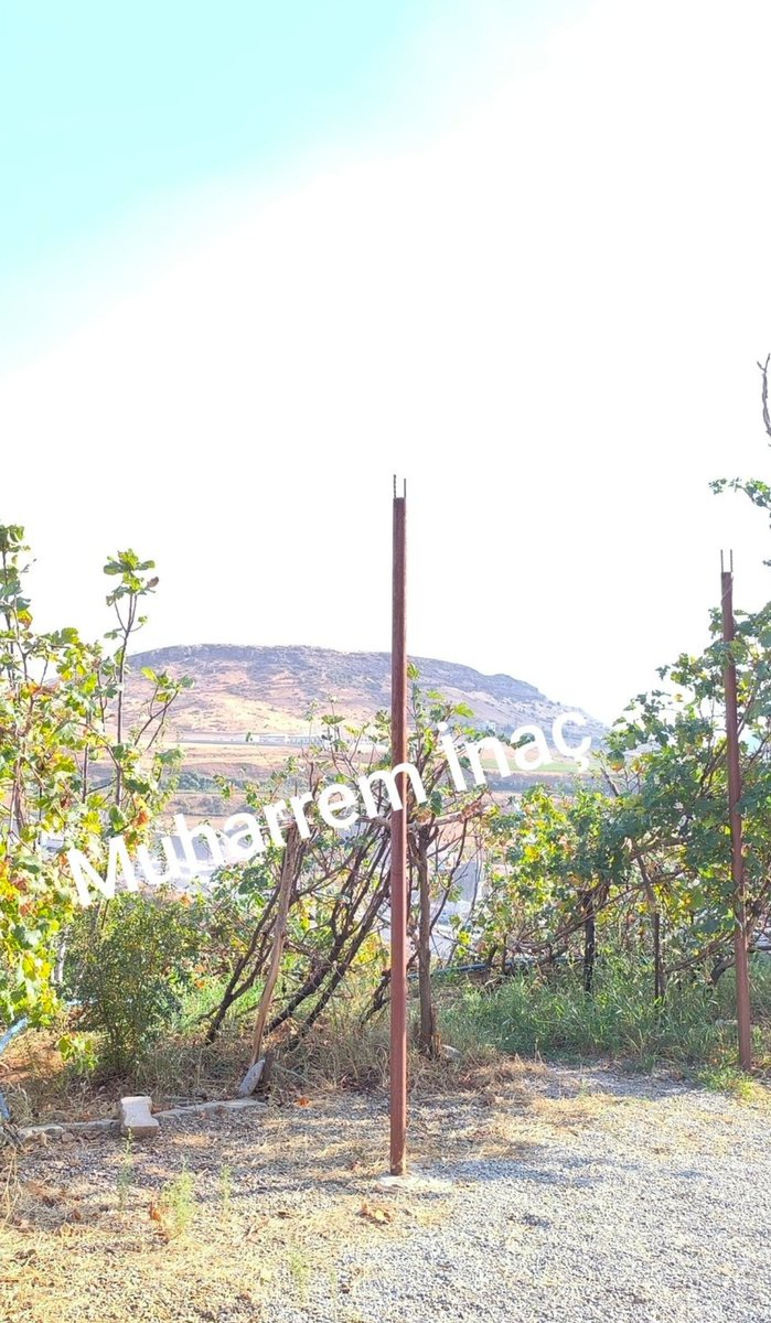 8 yaşındaki Şeyma'nın intihar ettiği iddia edilen yer burasıymış.

8 yaşındaki bir çocuğun intihar ettiğine asla inanmıyorum!

Lütfen konunun gündeme girmesi için 1 tweet de olsa yazalım.
#DevletŞeymayaSahipÇıksın