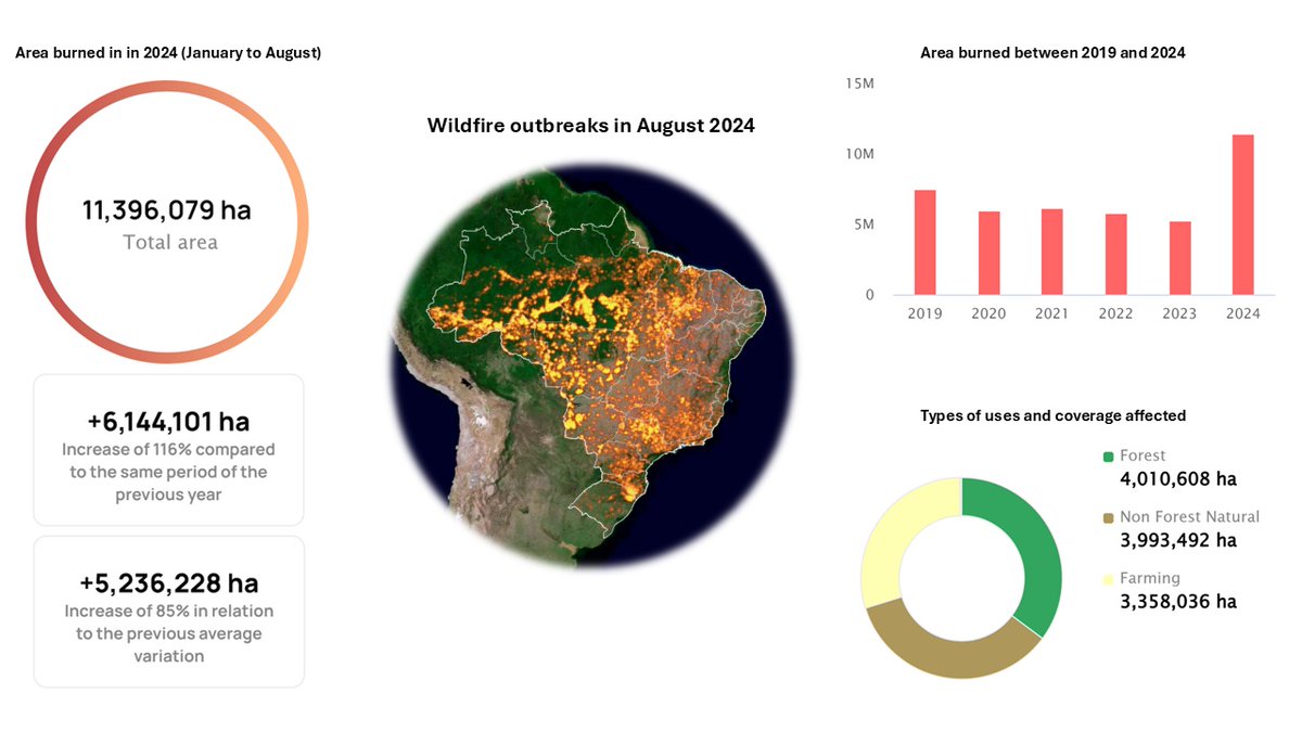 I’m excited to share my comment that has just been published in The Lancet Regional Health – Americas. In this piece, I address the alarming surge of wildfires in Brazil and their devastating impact on public health. 
Check out the full comment here: lnkd.in/dCqy2wpS