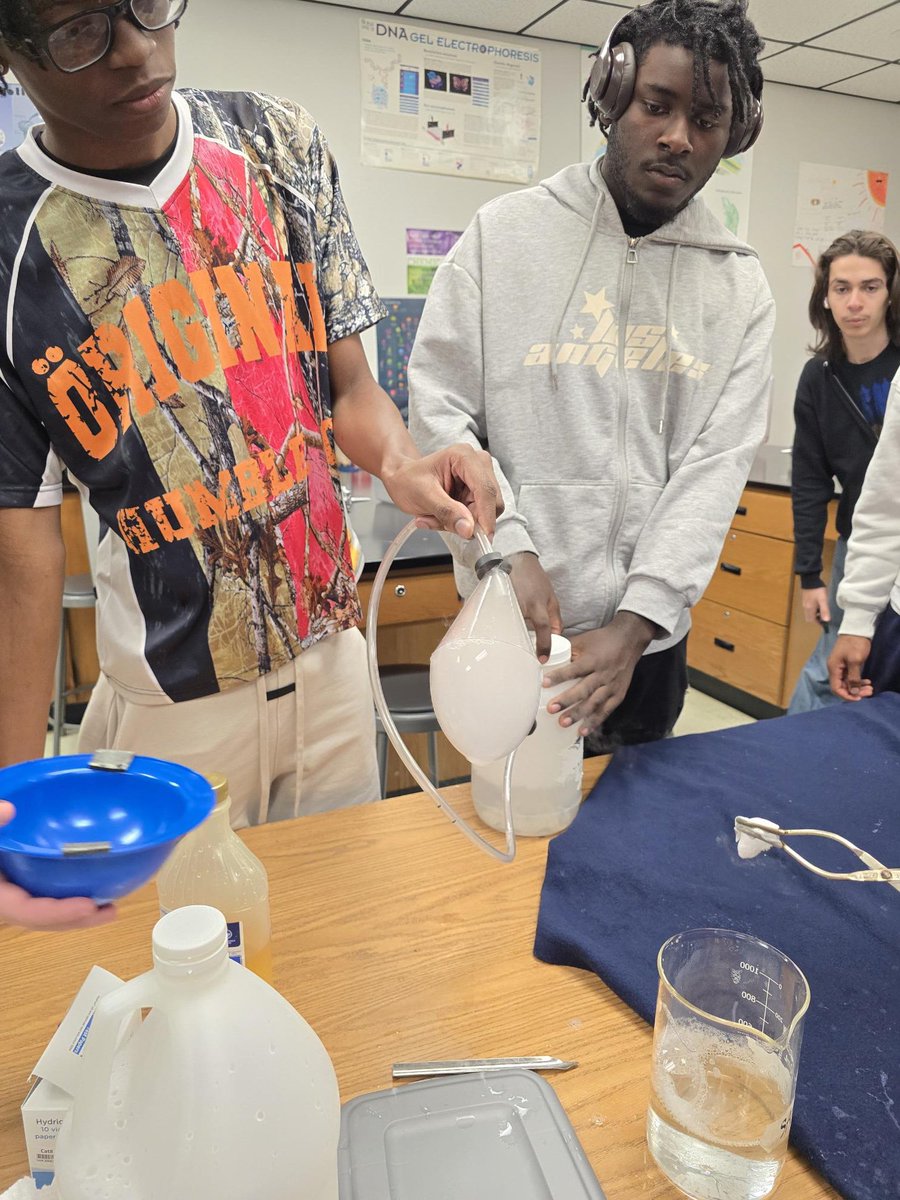 Spalding Biology tweet media