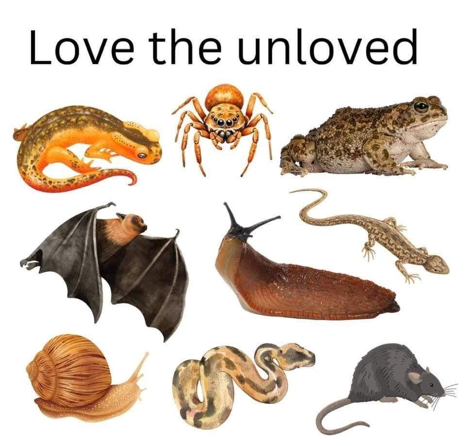 nocontextfrogs's tweet image. 