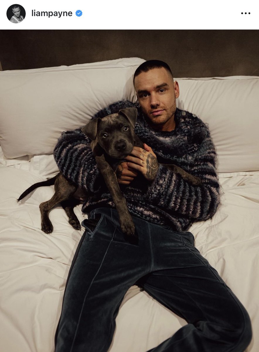 Celebrities in Paris tweet media