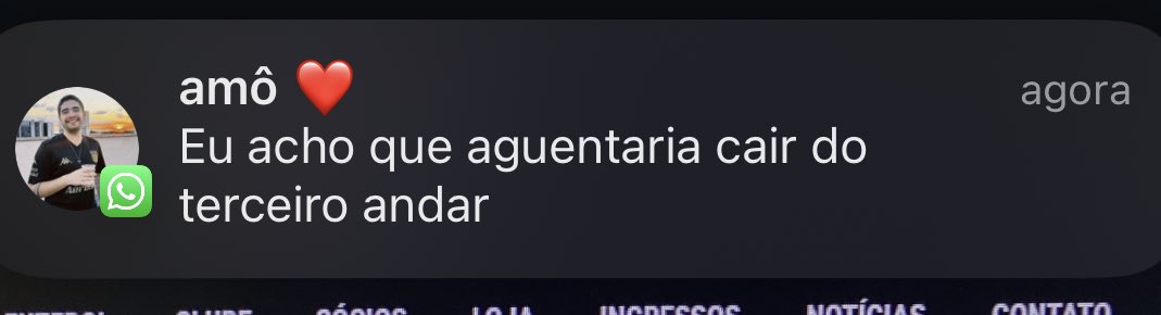 capelirios's tweet image. eu juro por deus