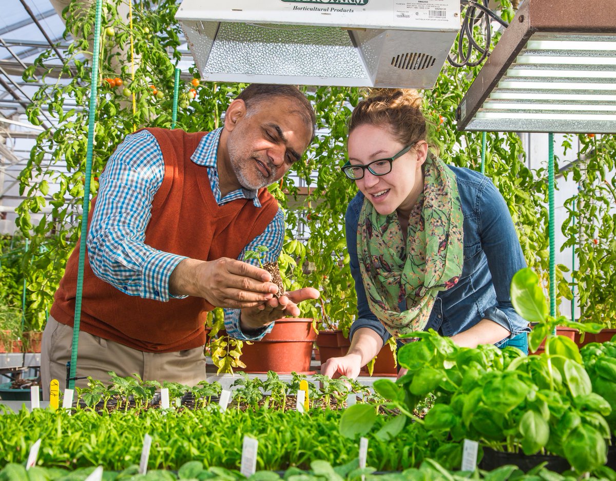 AgAssiniboine's tweet photo. 🌍 On #WorldFoodDay, we are delighted to announce an incredible $700,000 donation from the #RBCFoundation. The donation will support the expansion of our sustainable greenhouse, and advance our Greenhouse in a Box research project! More: https://t.co/omXf0bFhYN 🤝 https://t.co/JuXx4nPld3