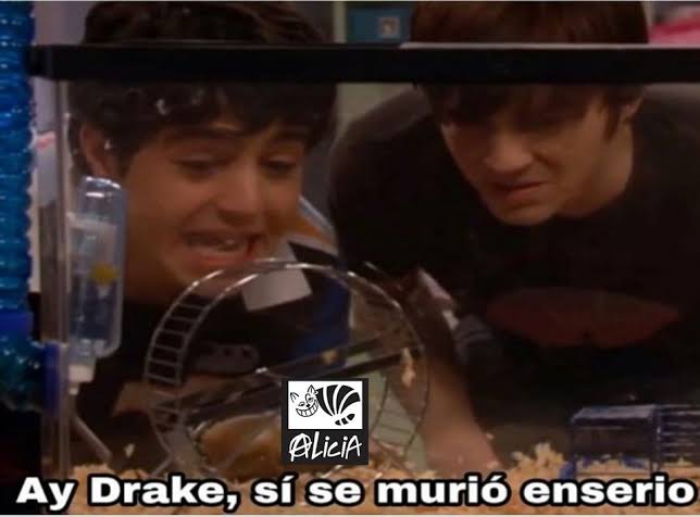 Puas271's tweet photo. @fatimafloresn Ya se petateo https://t.co/IaT5NQuZY7