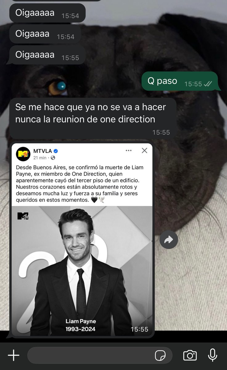 Itzel_C03's tweet photo. Mi hermano con 0 tacto dándome la noticia más triste del año 💔 https://t.co/lAtup2GTpy