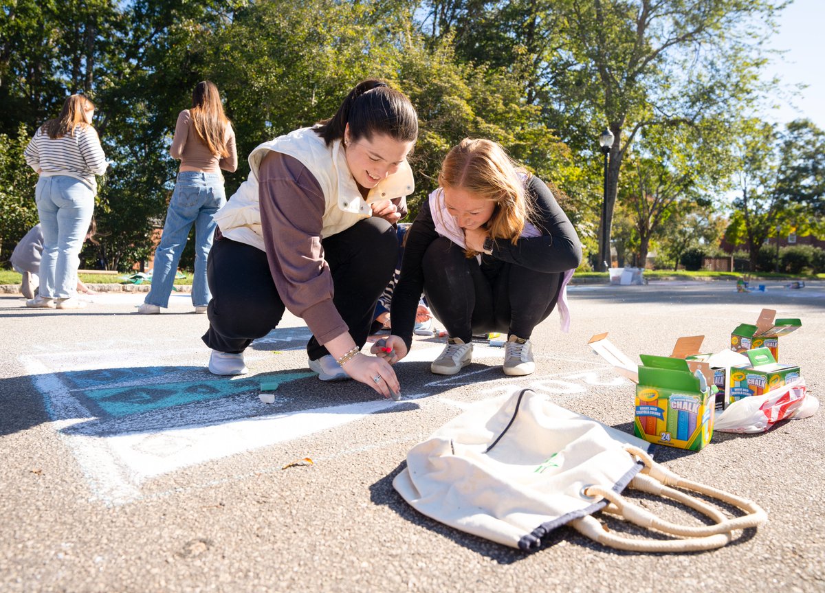 FurmanU's tweet photo. Color us impressed! Homecoming chalking is underway outside the DH #HomeAtFurman https://t.co/o6srjLSBC1